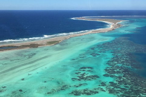 Pink Lake + Abrolhos Islands Nature Tour - Accommodation Asia 2