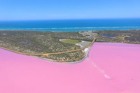 Pink Lake + Abrolhos Islands Nature Tour - Accommodation Asia 4