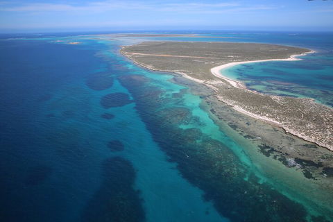 Pink Lake + Abrolhos Islands Scenic Flight - Accommodation Guide 0