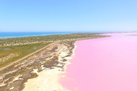 Pink Lake + Abrolhos Islands Scenic Flight - Accommodation Guide 4