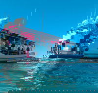 Best of Moreton Bay Cruise - Accommodation Guide