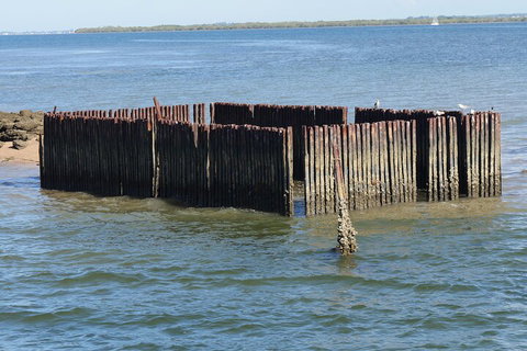 Best Of Moreton Bay Cruise - Accommodation Guide 1