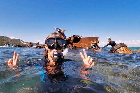 Best Of Moreton Bay Cruise - Accommodation Guide 4