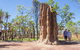 Litchfield National Park Day Tour From Darwin - thumb 2