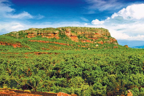 Kakadu, Nourlangie And Yellow Waters Tour From Darwin - Accommodation Guide 3