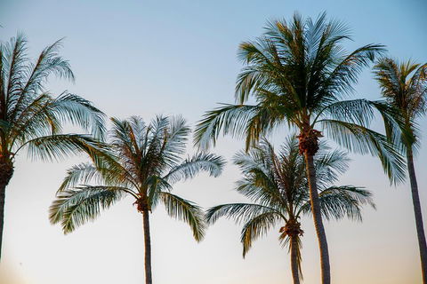 Darwin City Sightseeing Tour - Accommodation Guide 0