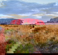 Uluru Ayers Rock Sunset with Outback Barbecue Dinner and Star Tour - Accommodation Guide