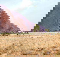Uluru Sunrise and Guided Base Walk - Accommodation Guide