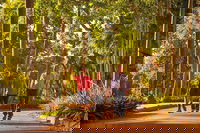 Darwin City Sights and Jumping Crocodile Cruise