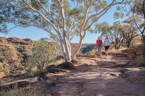 3-Day Tour From Uluru (Ayers Rock) To Alice Springs Via Kings Canyon - Accommodation Guide 1