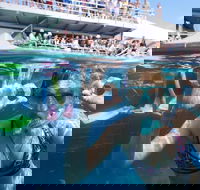 Great Barrier Reef Day Cruise from Cairns Including Snorkeling and Marine Biologist Presentation - Accommodation Guide