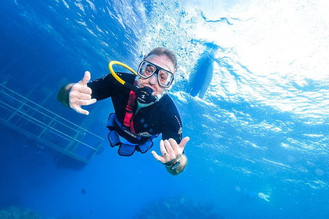 Great Barrier Reef Day Cruise From Cairns Including Snorkeling And Marine Biologist Presentation - Accommodation Guide 3