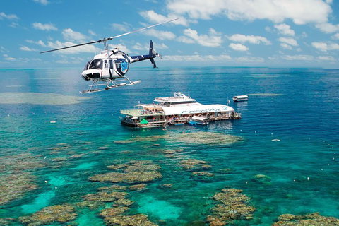 Great Barrier Reef Day Cruise From Cairns Including Snorkeling And Marine Biologist Presentation - Accommodation Guide 5