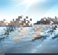 Brisbane Kayak Tour - Accommodation Guide
