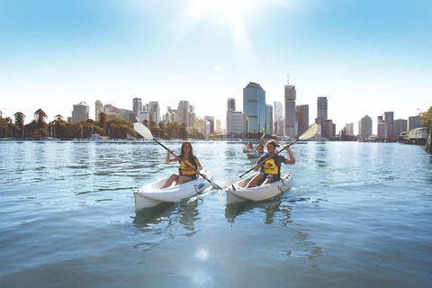 Brisbane Kayak Tour - Accommodation Guide 0