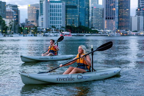 Brisbane Kayak Tour - Accommodation Guide 3