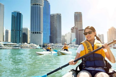 Brisbane Kayak Tour - Accommodation Guide 5
