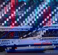 Evening Rainforest  Glow Worm Experience - Accommodation China