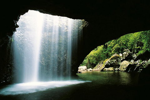 Natural Bridge & Springbrook Waterfalls Tour - Accommodation Asia 0