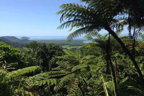 Daintree And Cape Tribulation Full Day Guided Tour - Accommodation Guide 2
