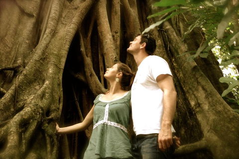 Daintree And Cape Tribulation Full Day Guided Tour - Accommodation Guide 5