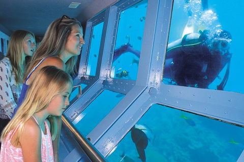 Quicksilver Outer Great Barrier Reef Snorkel Cruise From Palm Cove - Accommodation China 0