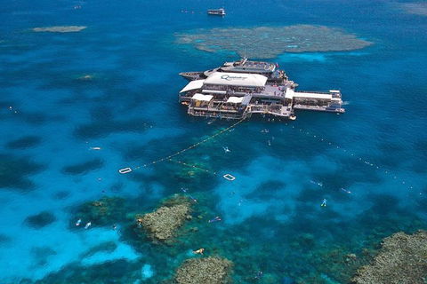 Quicksilver Outer Great Barrier Reef Snorkel Cruise From Palm Cove - Accommodation China 1