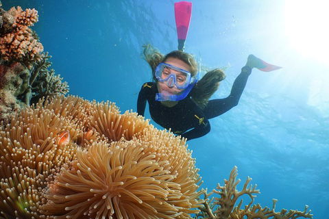 Quicksilver Outer Great Barrier Reef Snorkel Cruise From Palm Cove - Accommodation China 2