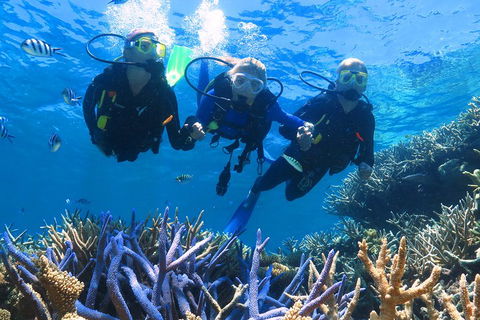 Quicksilver Outer Great Barrier Reef Snorkel Cruise From Palm Cove - Accommodation China 3