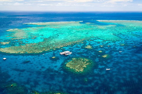 Quicksilver Outer Great Barrier Reef Snorkel Cruise From Palm Cove - Accommodation China 4