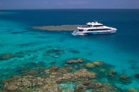 Silversonic Outer Great Barrier Reef Dive And Snorkel Cruise From Port Douglas - Accommodation Guide 2