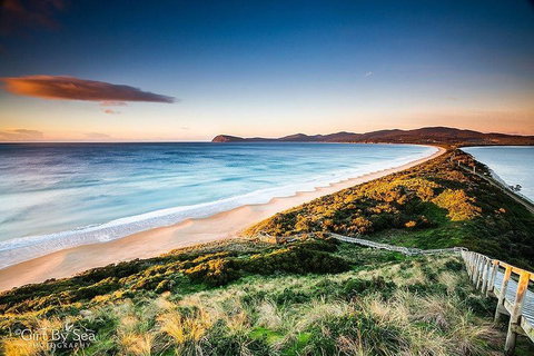 Bruny Island Private Charter Service - Accommodation China 0