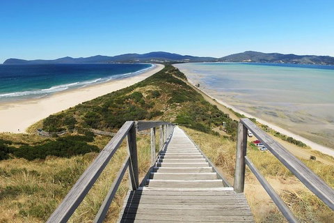 Bruny Island Private Charter Service - Accommodation China 4