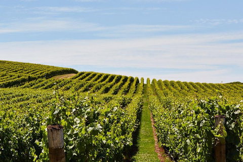 West Tamar Wine Tour - Accommodation Guide 2