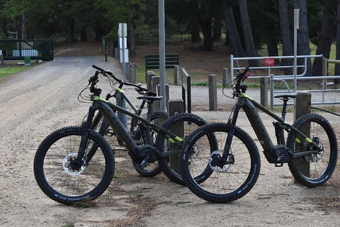 Fully Guided E-Mountain Bike Tour On The Beautiful Mornington Peninsula. - Accommodation Asia 2