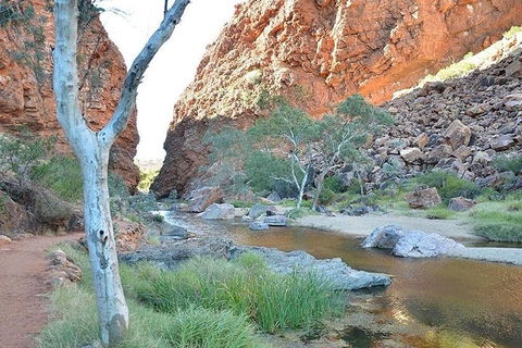 Alice Springs, Uluru Ayers Rock & Kings Canyon 8 Days Touring Package - Accommodation Guide 2