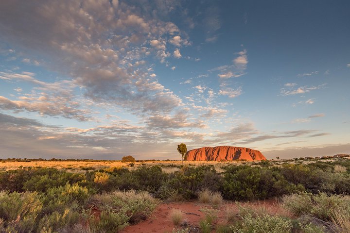  Accommodation Guide