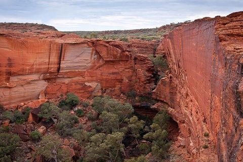 Uluru, Kata Tjuta And Kings Canyon Camping Safari From Ayers Rock - Accommodation Guide 1
