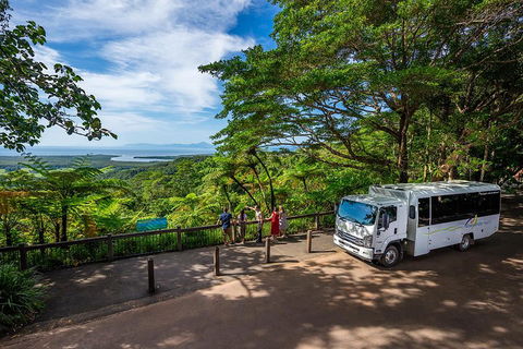 Daintree And Cape Tribulation Tour From Cairns - Accommodation Guide 3