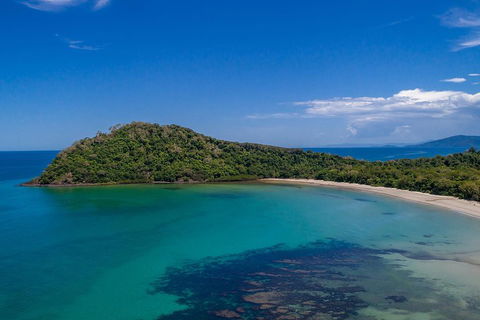 Daintree And Cape Tribulation Tour From Cairns - Accommodation Guide 4