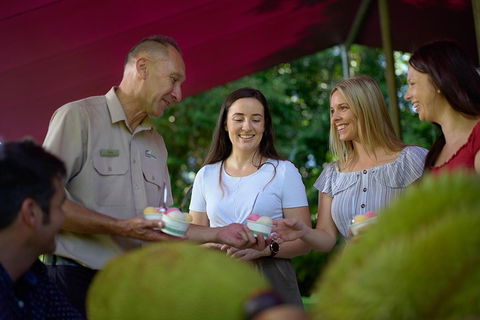 Daintree And Cape Tribulation Tour From Cairns - Accommodation Guide 5
