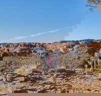 The Amazing Kings Canyon 4-Hours Walking Tour and Hike - Accommodation Asia