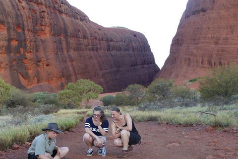 5-Hour Kata Tjuta Sunrise Tour From Ayers Rock With Breakfast - Accommodation Guide 0