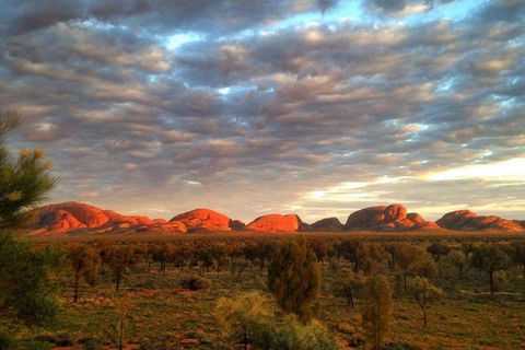 5-Hour Kata Tjuta Sunrise Tour From Ayers Rock With Breakfast - Accommodation Guide 1