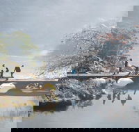 3.5 Hours Walking Tour to Cataract Gorge with Local Guide - Accommodation China