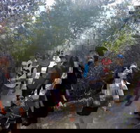 Active Day Tour One-Way from Launceston to Hobart via Wineglass Bay - Accommodation China