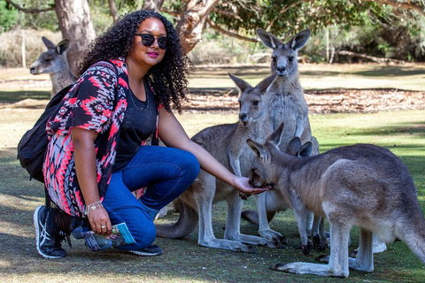 3-Day Tasmania Combo: Hobart To Launceston Active Tour - Accommodation China 5