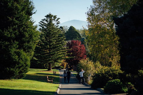 Private Royal Tasmanian Botanical Gardens Walking Tour - Accommodation Guide 1
