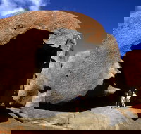 Full-Day Kangaroo Island Safari from Penneshaw - Accommodation Guide