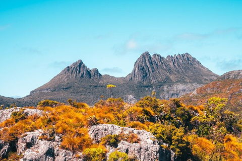 Cradle Mountain National Park Day Tour From Launceston - Accommodation Guide 1